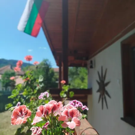 аврамови