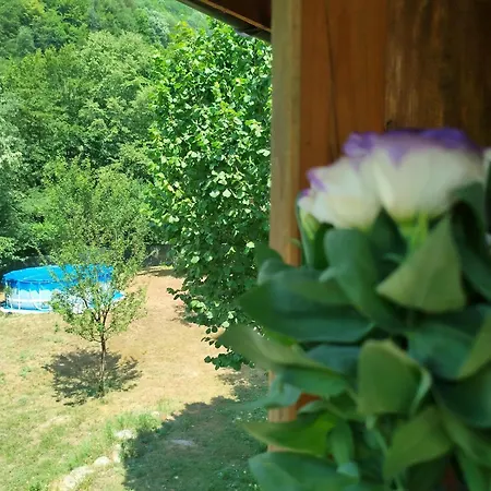 Inn аврамови Ribaritsa