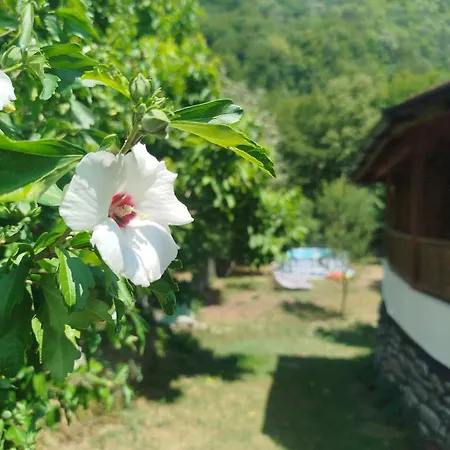 Inn аврамови *