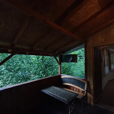 אורחן аврамови *