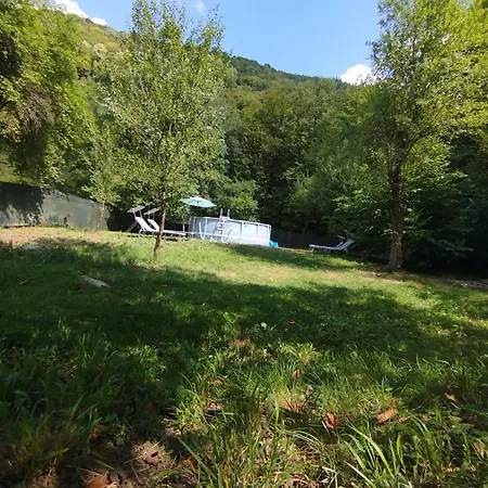 аврамови אורחן *