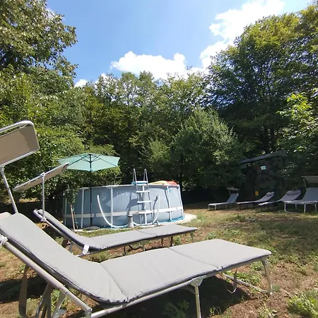 אורחן аврамови *