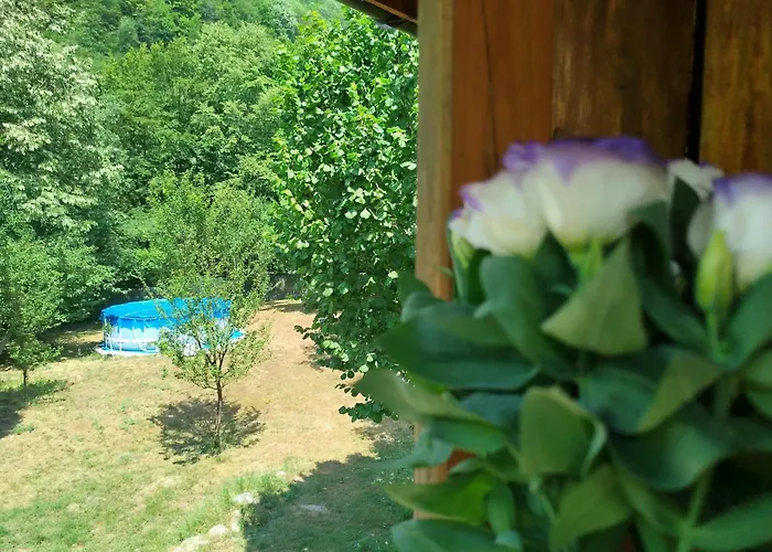 Värdshus аврамови Ribaritsa