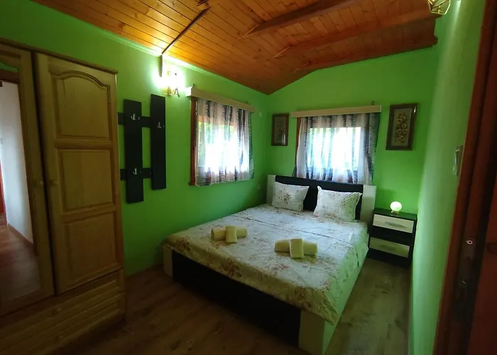 аврамови * Ribaritsa