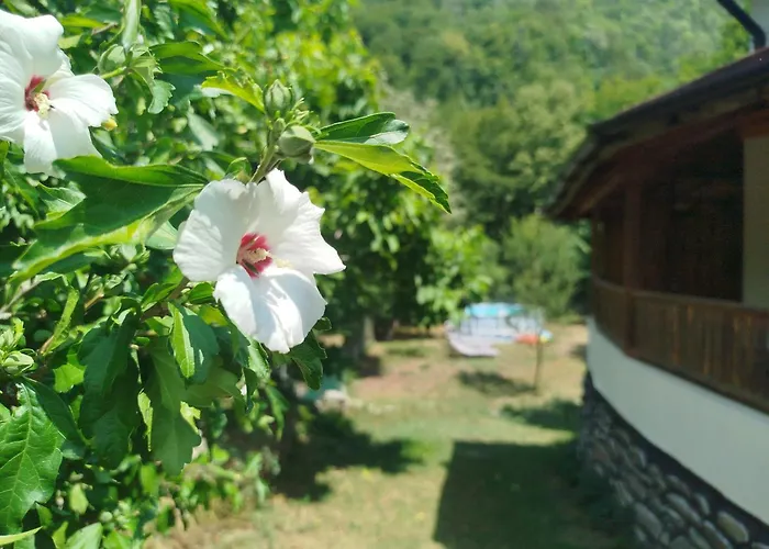 Värdshus аврамови *